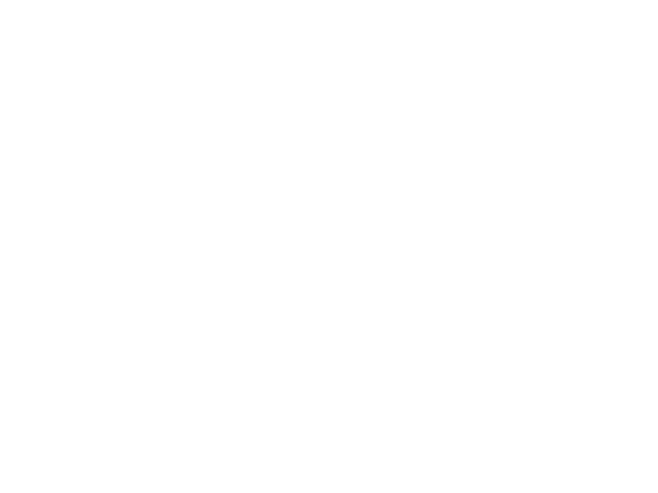 Birkdale Village