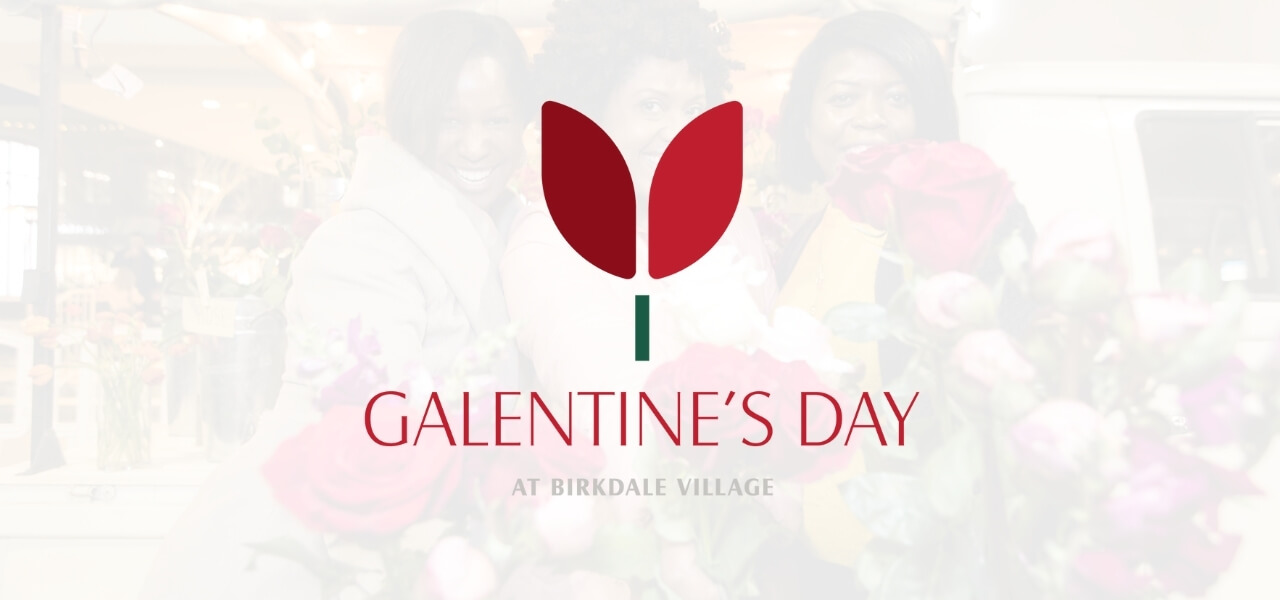 Galentine's Day at Birkdale Village logo